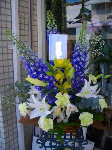 今日のおまかせ｜「アライ花店」　（山形県山形市の花キューピット加盟店 花屋）のブログ