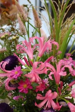 秋の花♫｜「アライ花店」　（山形県山形市の花キューピット加盟店 花屋）のブログ