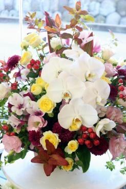 開店のお祝いアレンジ♬｜「アライ花店」　（山形県山形市の花キューピット加盟店 花屋）のブログ