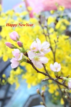 新年を迎えて♪｜「アライ花店」　（山形県山形市の花キューピット加盟店 花屋）のブログ