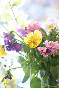 今日は寒い！｜「アライ花店」　（山形県山形市の花キューピット加盟店 花屋）のブログ